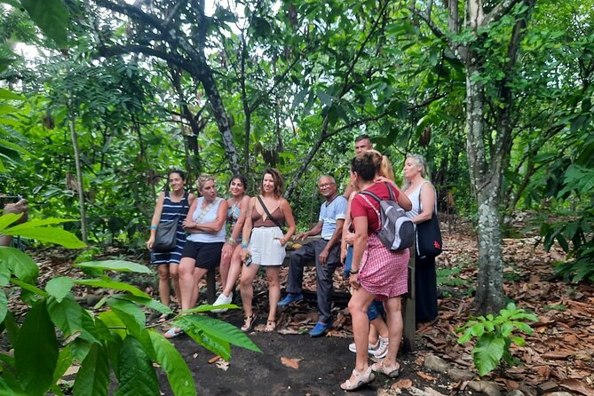 Cocoa & Artisan Chocolate Route with an Historical Tour in Puerto Plata City - Chocolate Making: Learning the Real Steps, Then Eating the Results