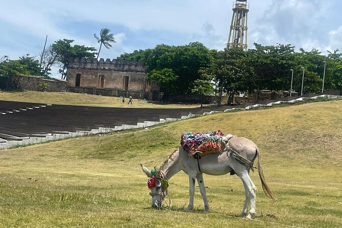 Combo : ATV Adventure with City Tour in Puerto Plata - The morning start: pickup, timing, and how to set yourself up