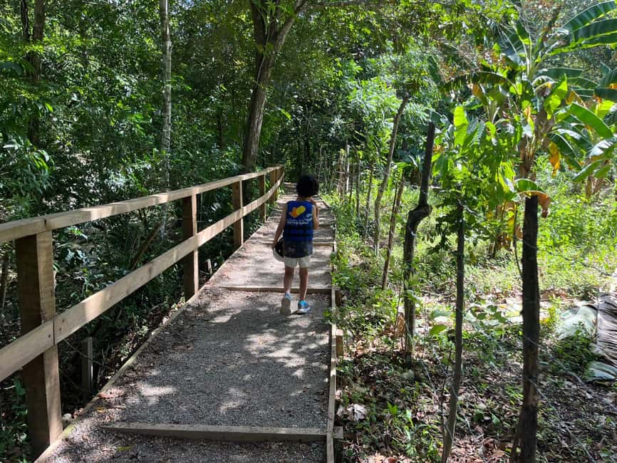 Damajagua Waterfalls Tour with Lunch - Choosing Slow & Calm: the route that fits real families