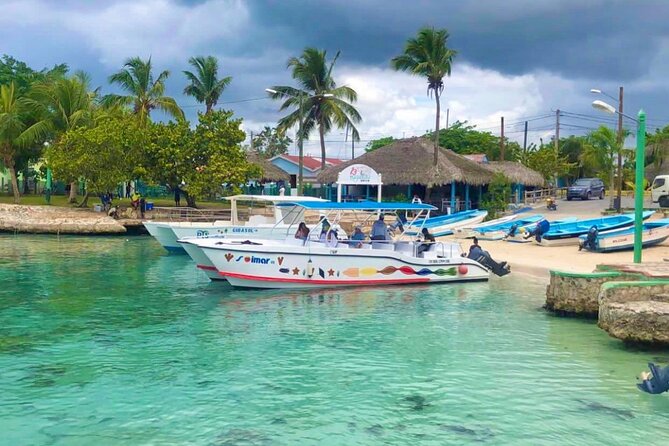 Day Trip to Saona Island with Lunch and Open Bar - The day’s rhythm: transfers, boats, and what to expect