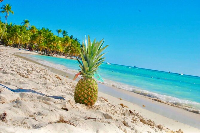 Day Trip to Saona Island with Lunch and Open Bar - Open bar reality check: rum, soda, and the beer question