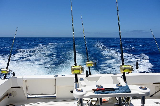 Deep Sea Fishing Tour - Why this Punta Cana deep sea fishing tour feels more personal