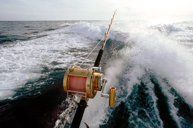 Deep Sea Fishing Tour - Price and value: what $89.99 buys you (and what it doesn’t)