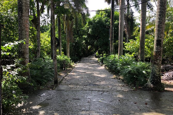 Discover Dominican life - Why This Punta Cana Day Tour Feels Like Real Life