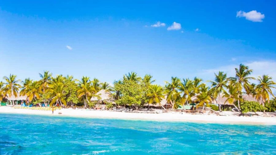 Discover Punta Cana: Full-Day Saona Island All Included - Pickup and transfers: the part that can make or break your day