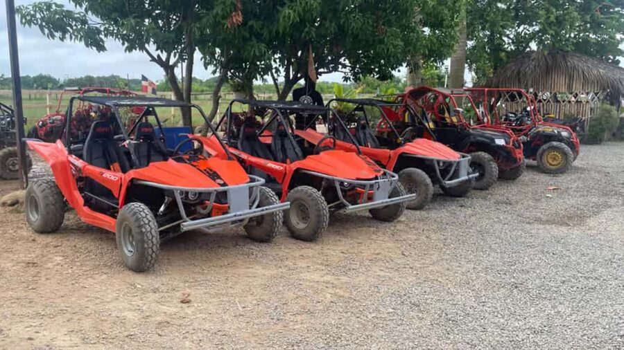 Discover Punta Cana Tour Buggy & ATV Tour Macao Beach Cenote - A typical Dominican house stop: coffee, chocolate, mamajuana
