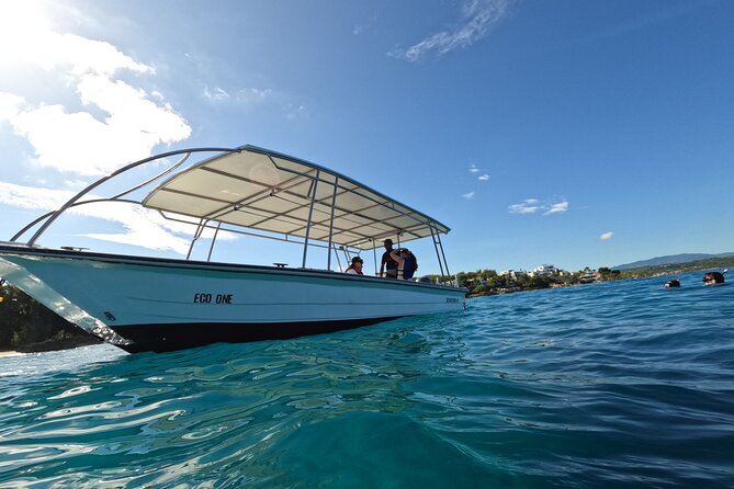 Discover Sosua's Underwater World & Beach Day - Stop 1: Three Rocks—your first reef encounter