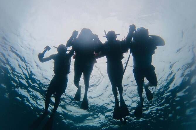 Discover Sosua's Underwater World & Beach Day - Stop 2: Sosuá Bay—second chance to see more marine life