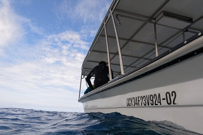 Discover Sosua's Underwater World & Beach Day - Equipment and comfort: you’re not paying for rentals