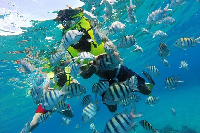 Discover Sosua's Underwater World & Beach Day - Who this tour fits best (and who should think twice)