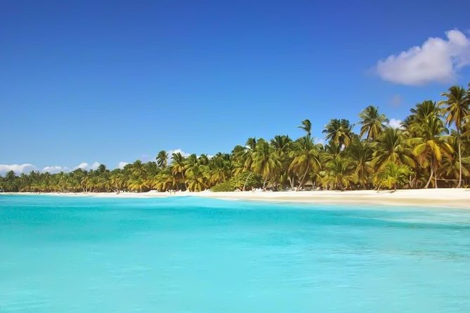 Discovery Package Saona Island & Buggies From Punta Cana - Price and logistics: what your $112 buys (and what it doesn’t)