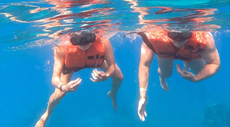 diving without a license catalina island from punta cana - Safety fit and who should skip this trip