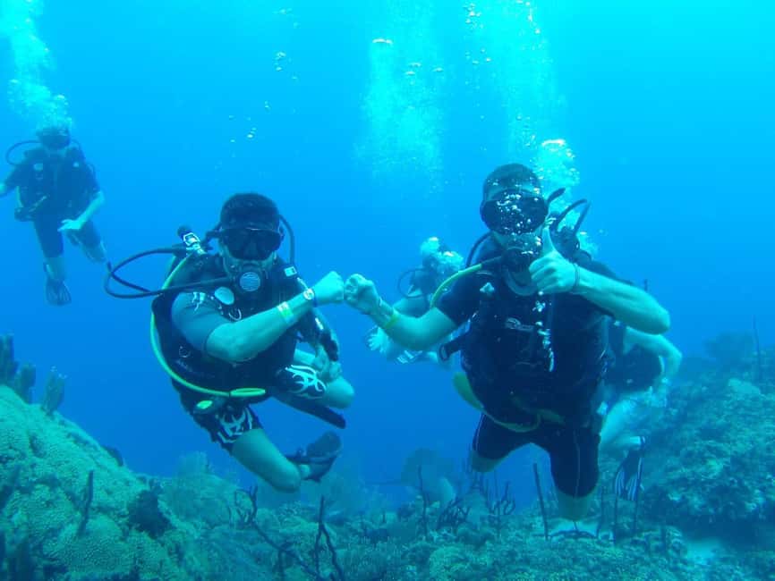 diving without a license catalina island from punta cana - The Wall and Aquarium: Two reef stops with different depth limits
