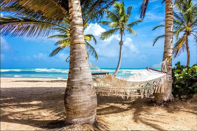 Dominican countryside, culture and beach escape with lunch - Cigar Factory, Sugarcane Fields, and Plantation Stops on the Way
