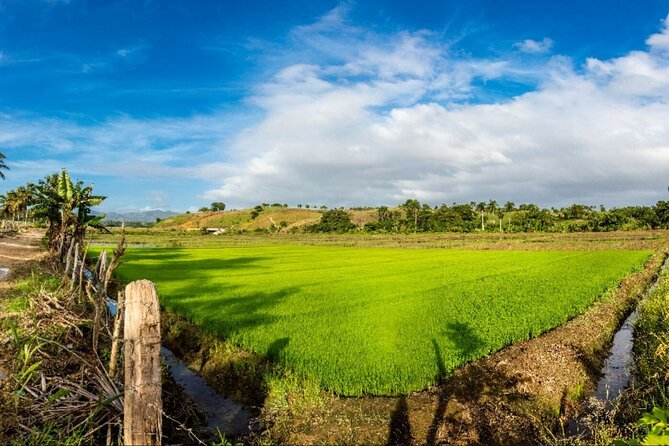 Dominican countryside, culture and beach escape with lunch - The Road Views You’ll Notice: Mountains, Rural Schools, and Farming Country