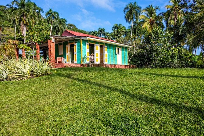 Dominican countryside, culture and beach escape with lunch - Lunch and Local Beverages: Where Most Days Win or Lose