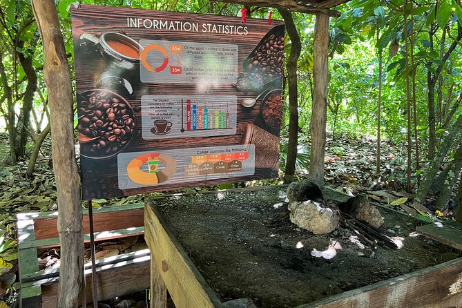 Dominican Culture Tour - Museo de La Altagracia: turning artifacts into a story