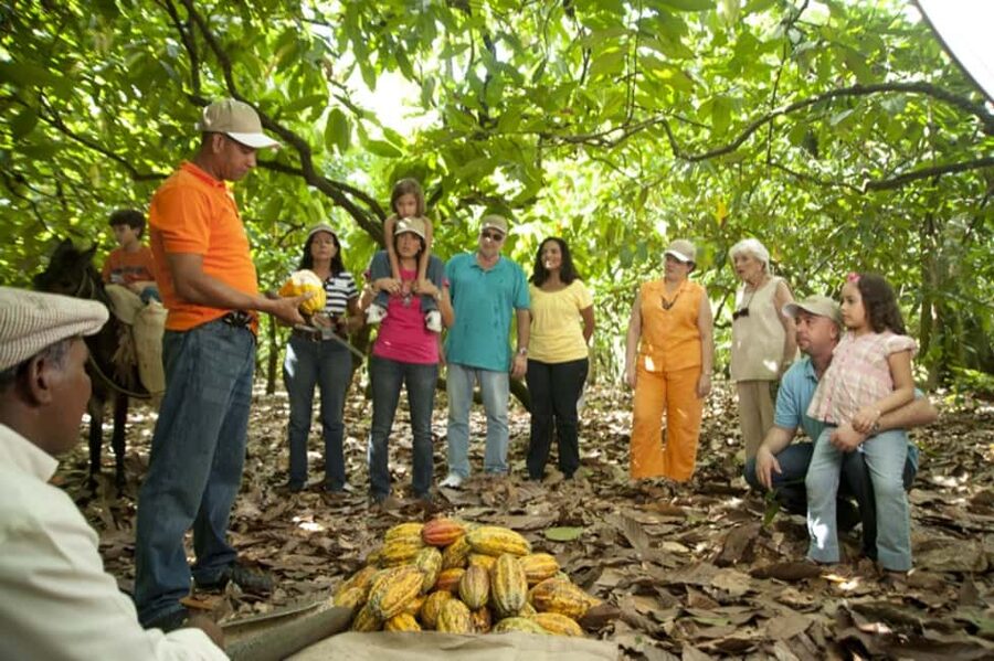 Dominican Republic: 3-Hour Chocolate Lovers Tour - Key Things I’d Book This For