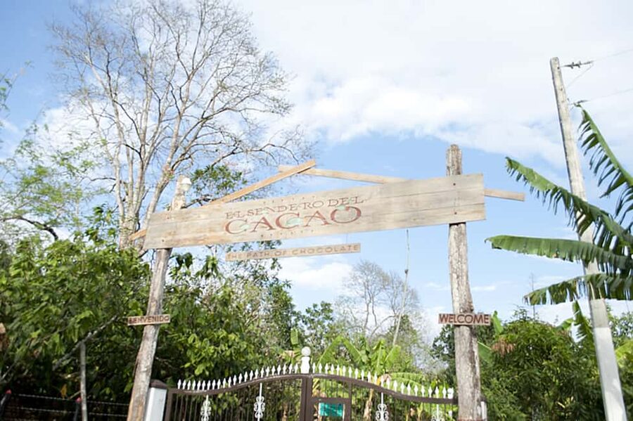 Dominican Republic: 3-Hour Chocolate Lovers Tour - Why Cacao Education in the Dominican Republic Feels Practical