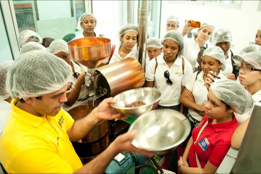 Dominican Republic: 3-Hour Chocolate Lovers Tour - Following Your Nose: The Chocolate Factory Segment