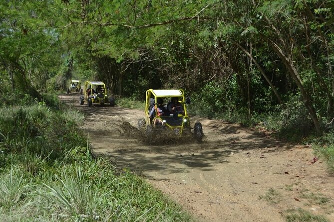 Dune Buggies Adventure - The Price Check: Is $140 per vehicle worth it?