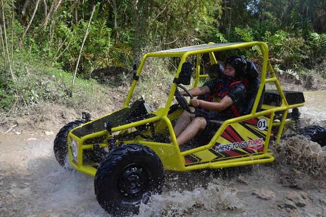 Dune Buggies Adventure - A Typical Dominican House Visit: Chocolate, fruit trees, and family welcome