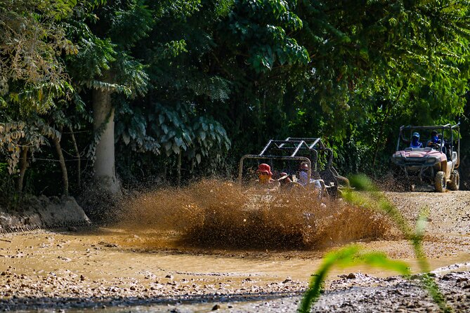 Dune Buggy Adventure at Punta Cana - Punta Cana Dune Buggy: What You Actually Get for $45