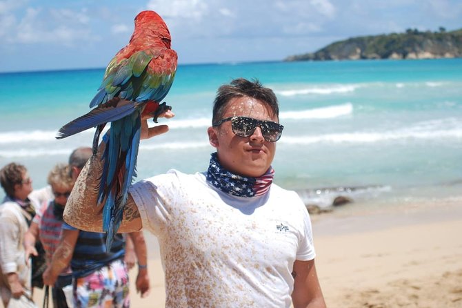 Dune Buggy Adventure by Caribbean Tour Service - Horseback Riding: A Slower Pace That Still Feels Like Adventure