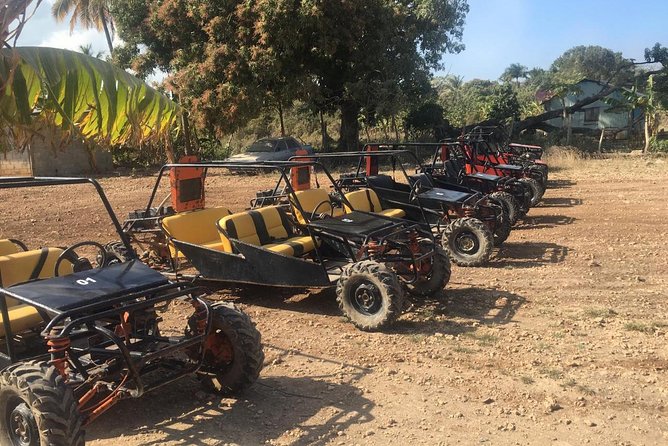 Dune Buggy / ATV / Safari / Cave / Beach / Adventure - Pickup and ranch arrival: your first test is how smooth the start is