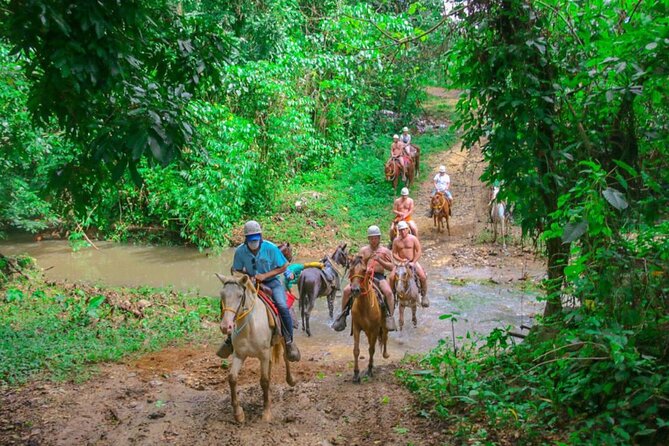 Eco Aventure Park+ Zipline+Horseback Ride+Buggy - Cigar Making Stop: A Short, Hands-On Cultural Detour
