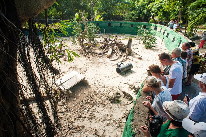Eco Exploration: Golf Cart Adventure and Catamaran Cruise - Apiary to Iguanario: What You’re Actually Learning on the Land