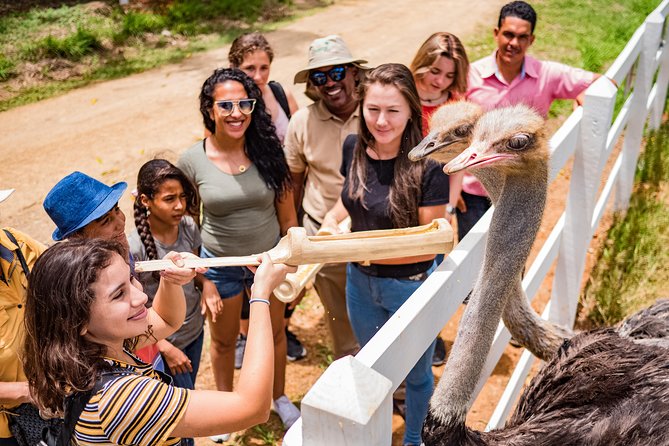 Eco Park Punta Cana by Marinarium Parks - Price and value: is $90 per person fair for this mix?
