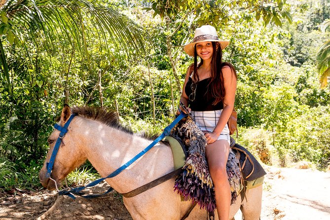 El Limon Waterfall and Bacardi Island Tour from Punta Cana with Lunch Included - Safari truck up to the mountain top (2,100 feet): the view stop before the work