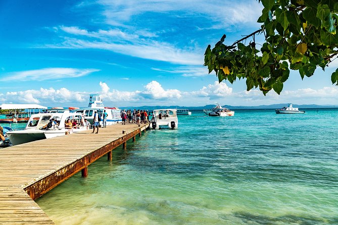 El Limon Waterfall and Bacardi Island Tour from Punta Cana with Lunch Included - Lunch at the ranch: buffet basics that keep the day moving