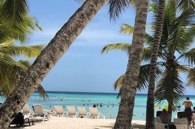 Excelence El Carmen - Round Trip Shuttle - Punta Cana Airport - Price and Value: When $133.34 Makes Sense
