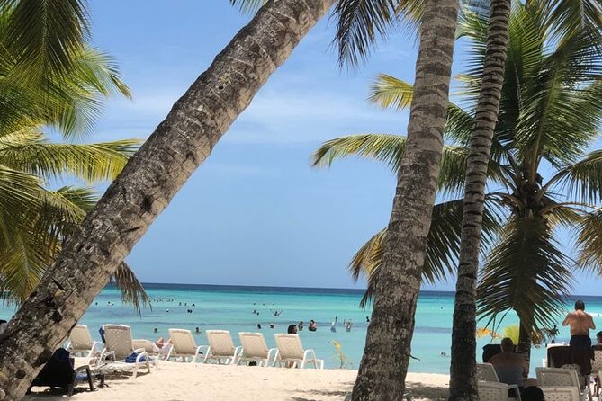 Excelence El Carmen - Round Trip Shuttle - Punta Cana Airport - Service Hours and Availability That Works for Real Flights