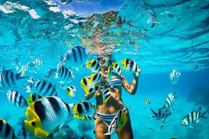 Excursion to Catalina Island and Snorkeling from Punta Cana - Getting From Punta Cana to Catalina: The day starts early, stays moving