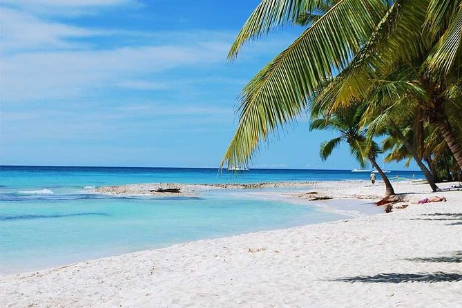Excursion to Catalina Island and Snorkeling from Punta Cana - Who this tour is best for (and who should skip it)