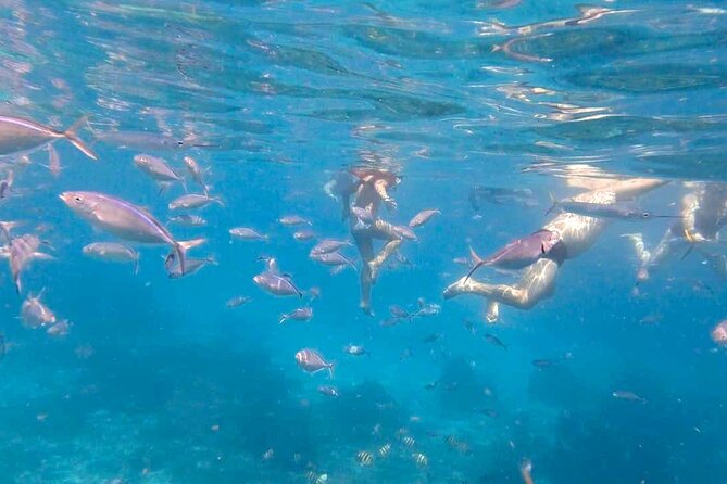 Excursion to Catalina Island and Snorkeling from Punta Cana - Price and value: $79 makes sense when everything lands smoothly