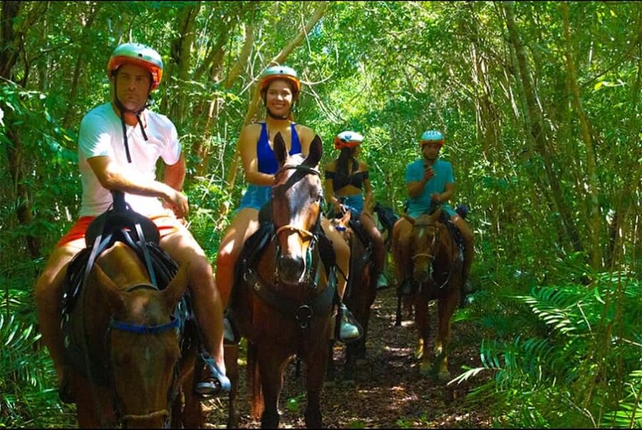 Exhilarating Buggy Tours: Discover Punta Cana Scenic Wonders - Who This Punta Cana Buggy Tour Fits Best