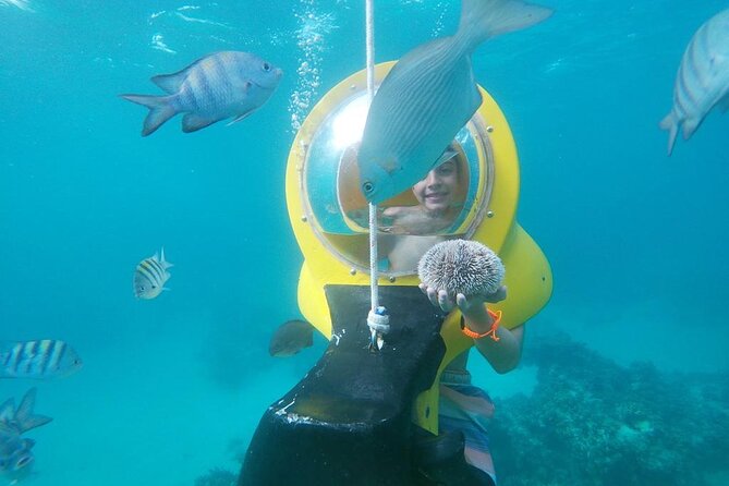 Experience a Submarine Scooter with ScubaDoo Punta Cana - The full flow: what you’ll do during the ~5 hours