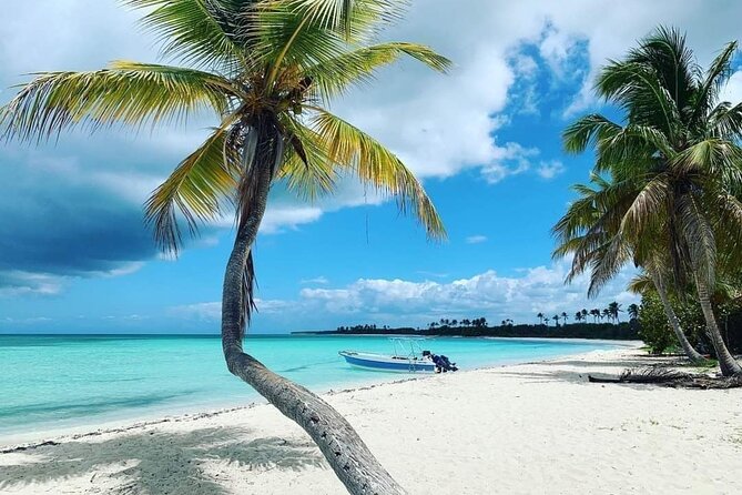 Experience Full Day Tour of Tropical Bliss at Isla Saona - Getting to the Water: 7:00 AM Start, Pickup, and Group Size