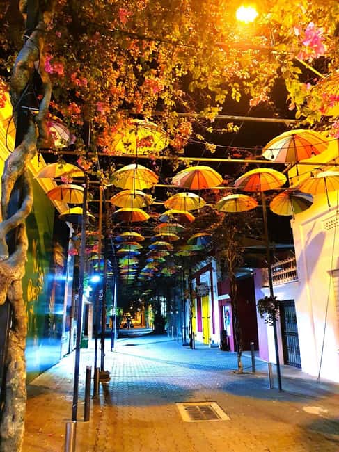 Experience the Nightlife: Puerto Plata + Sosua + Cabarete - Key Things You’ll Notice on This Nightlife Tour