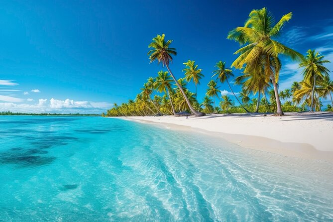 Explore Catalina Island & Snorkeling Adventure from Punta Cana - Key highlights worth your attention