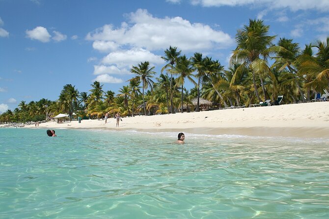 Explore Catalina Island & Snorkeling Adventure from Punta Cana - Getting from Punta Cana to Catalina: Pickup, Marina Time, and the Real Clock