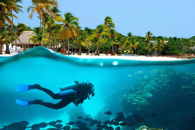 Explore Catalina Island & Snorkeling Adventure from Punta Cana - Catalina’s west-side private beach: lunch, loungers, and open-bar time