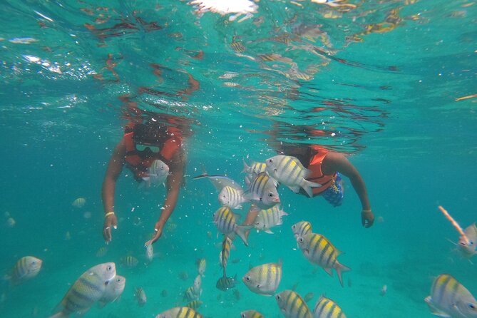 Explore Catalina Island & Snorkeling Adventure from Punta Cana - Value for $80: what you get, what you pay for, and what it means in practice