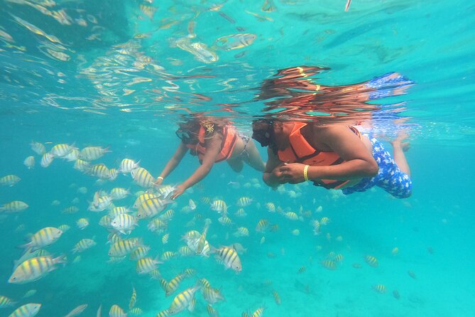 Explore Catalina Island & Snorkeling Adventure from Punta Cana - Who should book this Catalina Island and The Wall day trip?