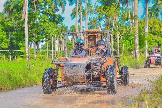 Explore Punta Cana in Buggy - Key things to know before you go