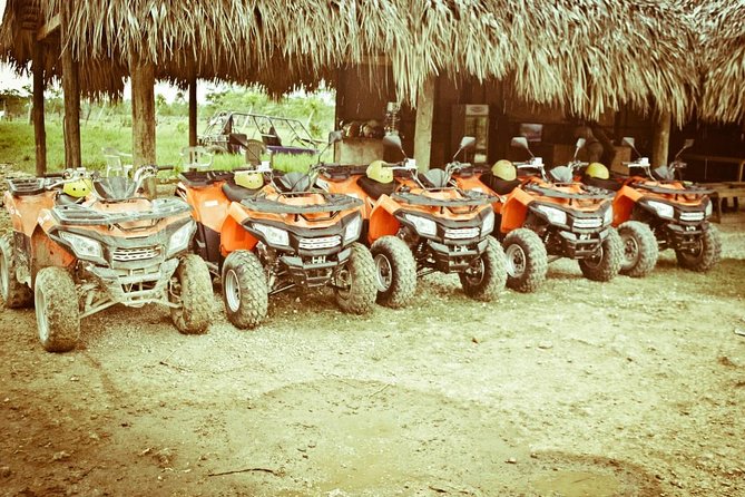 Extreme Adventure in Atv -Punta Cana - The ranch welcome: coffee, cacao, oil, tobacco, and tastings